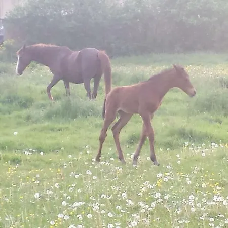 1 In The Maassen Appartamento