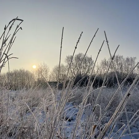 1 In The Maassen Stakendorf