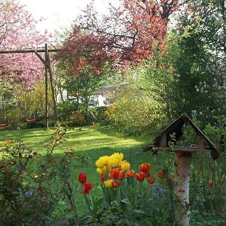 1 In The Maassen Stakendorf